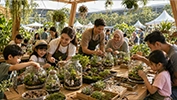 Kelas Terrarium